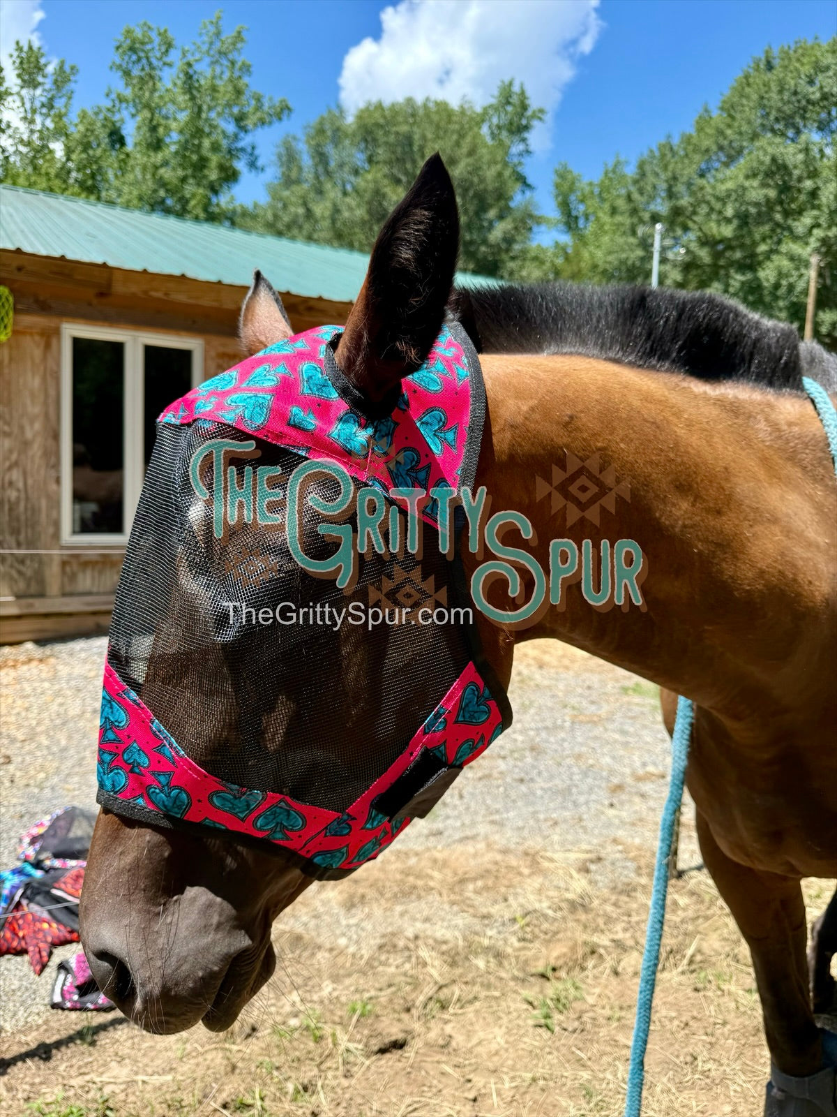 READY TO SHIP- Printed Fly Masks- ALL HORSE SIZE