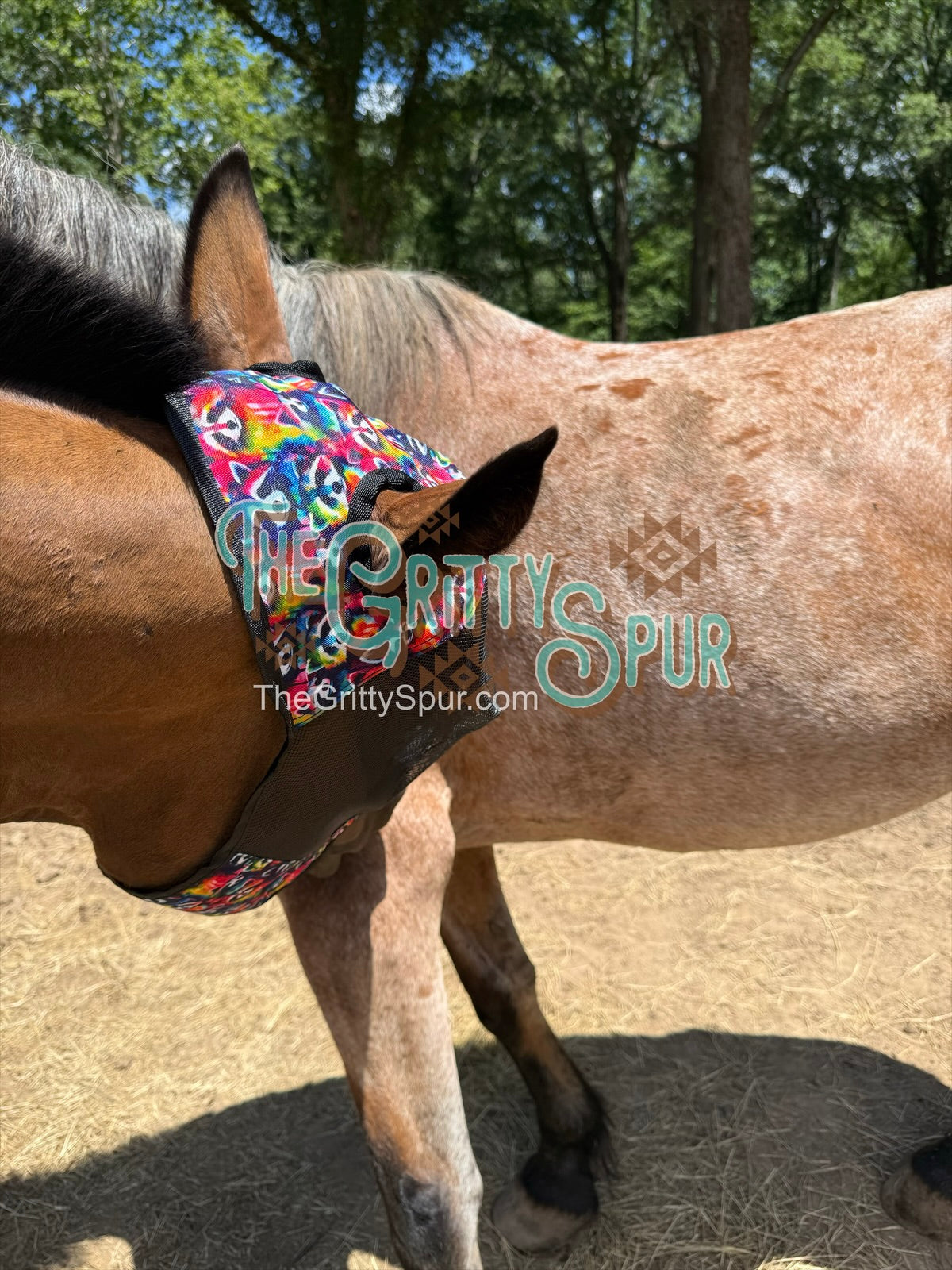 READY TO SHIP- Printed Fly Masks- ALL HORSE SIZE