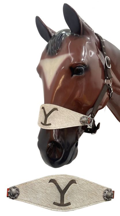 "Y" branded cowhide bronc halter