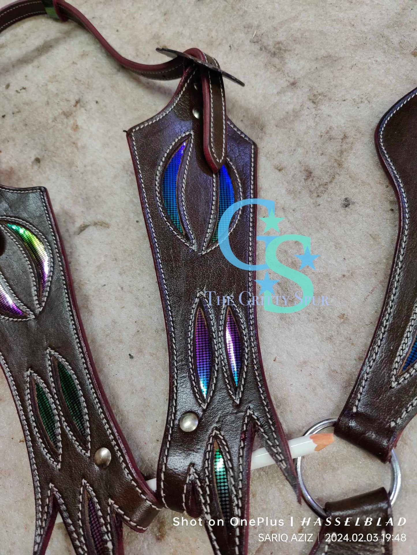 Dragon wing tack set
