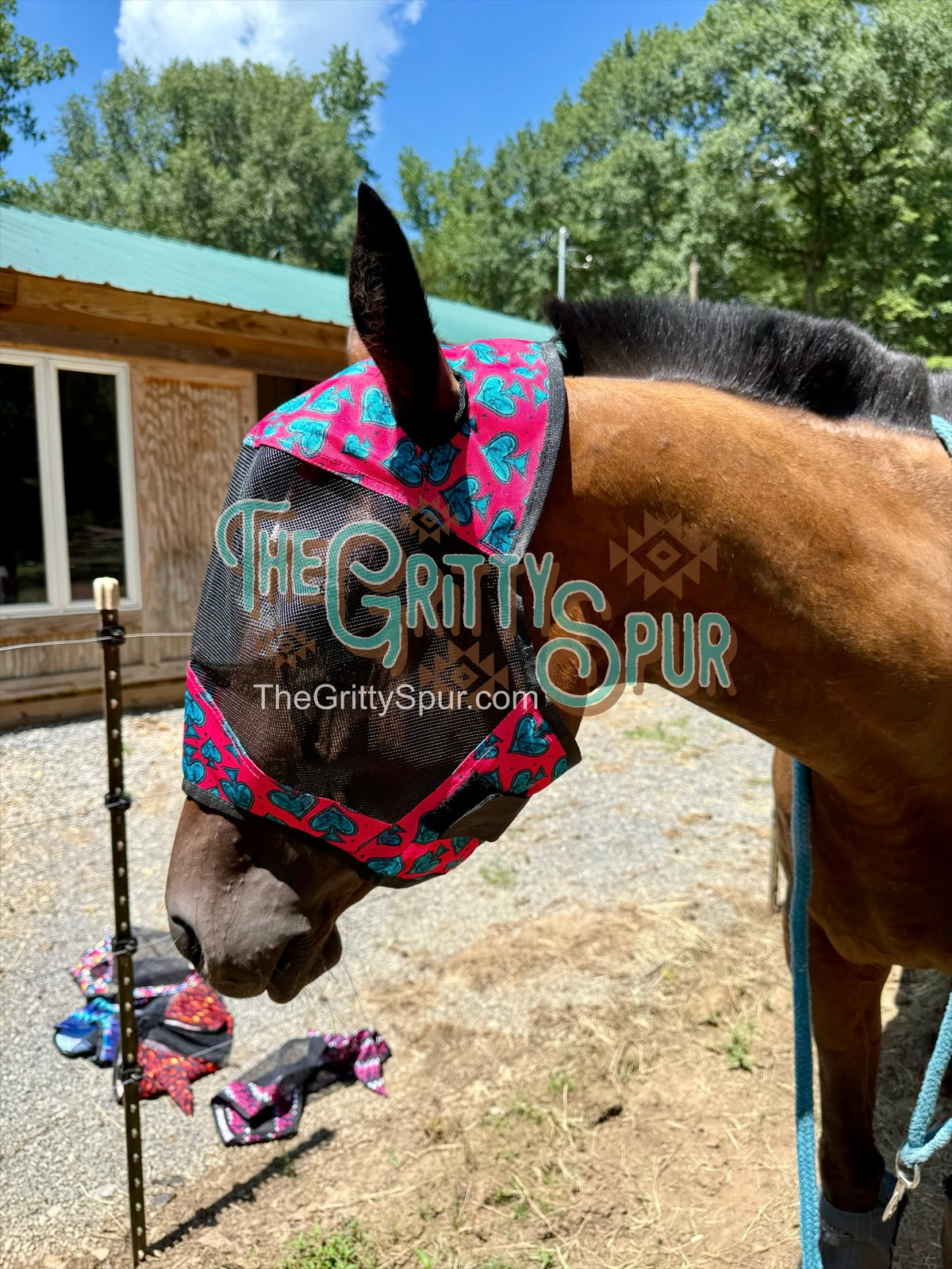 READY TO SHIP- Printed Fly Masks- ALL HORSE SIZE