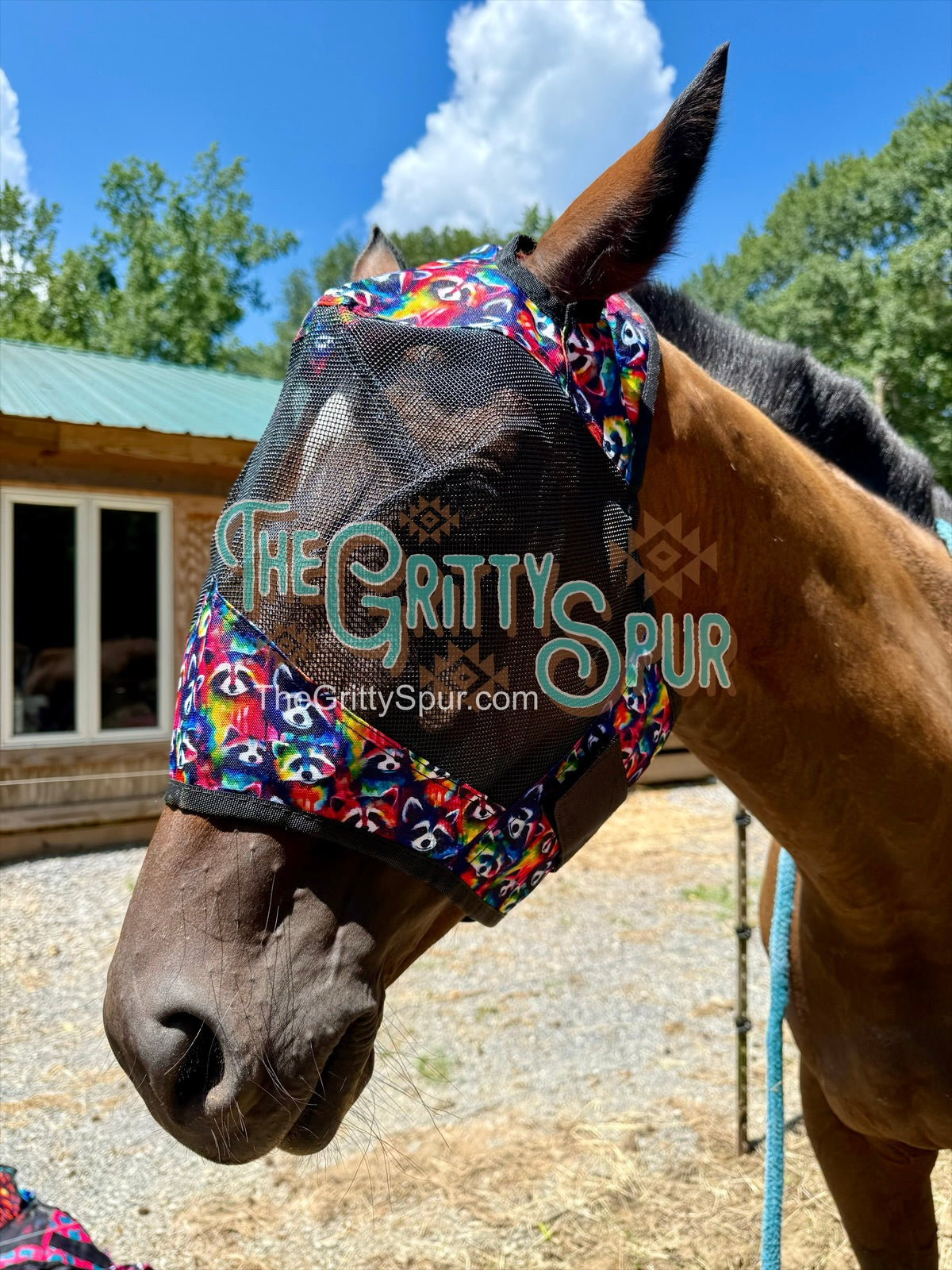 READY TO SHIP- Printed Fly Masks- ALL HORSE SIZE