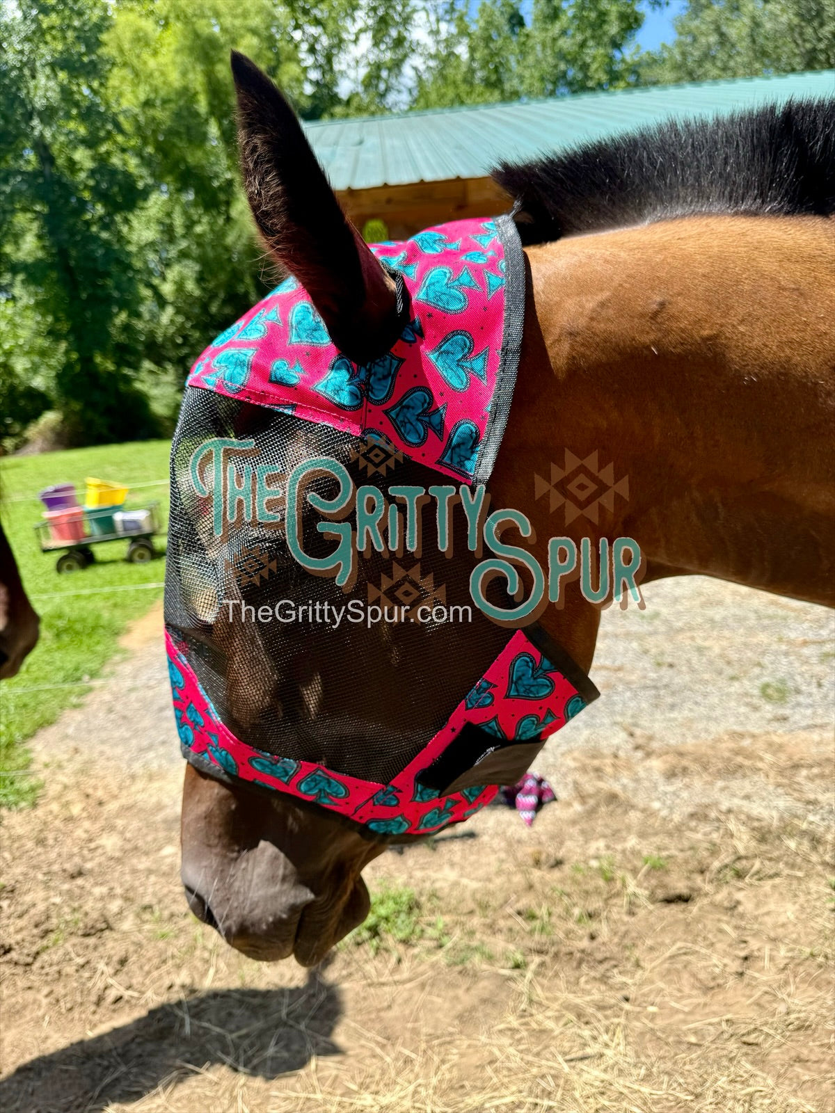READY TO SHIP- Printed Fly Masks- ALL HORSE SIZE