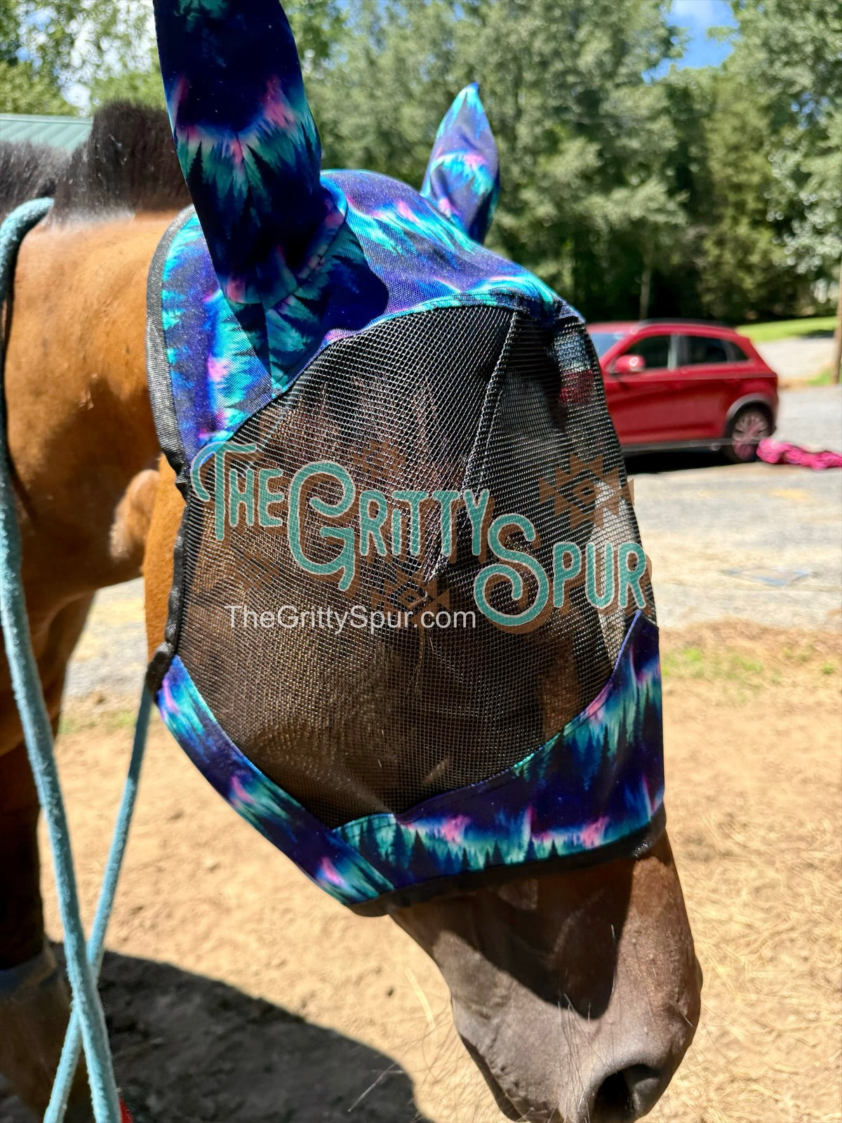 READY TO SHIP- Printed Fly Masks- ALL HORSE SIZE