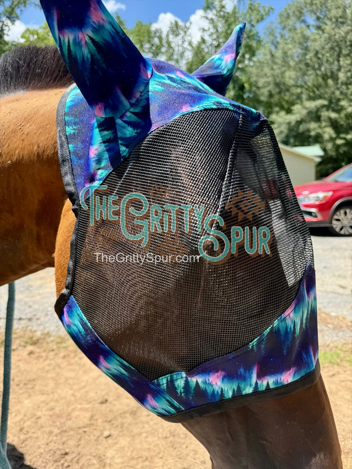 READY TO SHIP- Printed Fly Masks- ALL HORSE SIZE