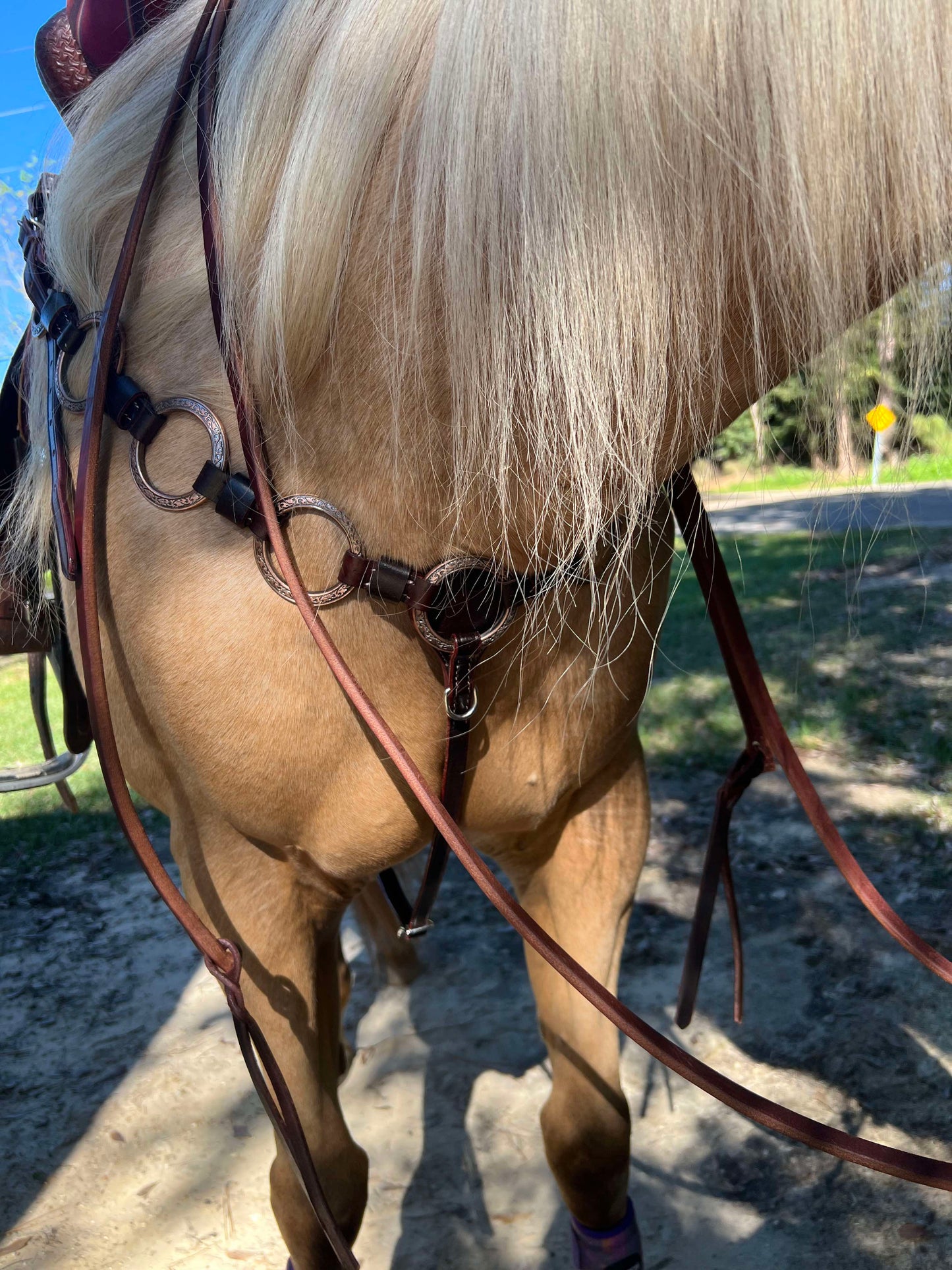 PRE ORDER- Ring Tack Set (dark oil one ear without concho IN STOCK)