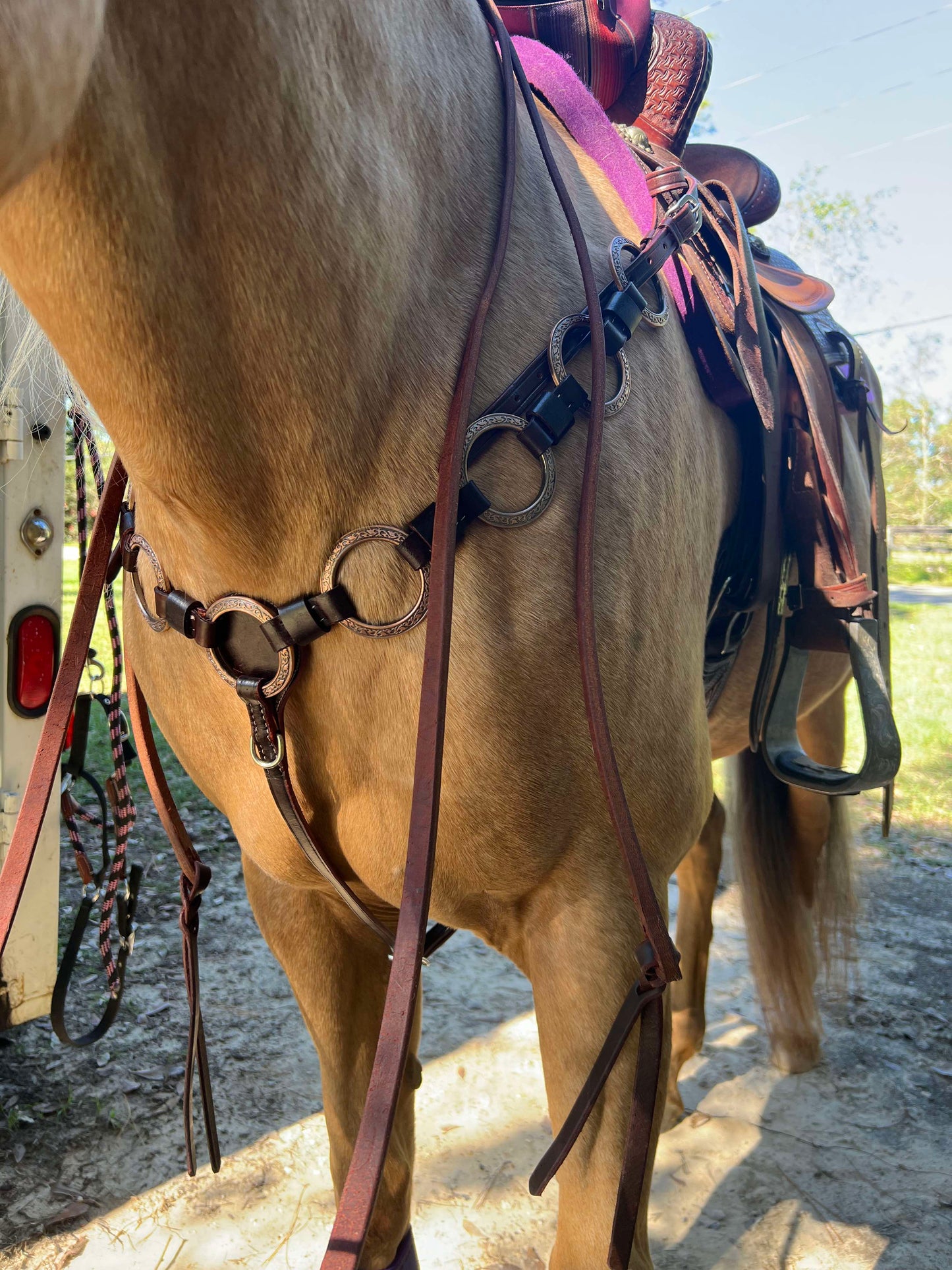 PRE ORDER- Ring Tack Set (dark oil one ear without concho IN STOCK)