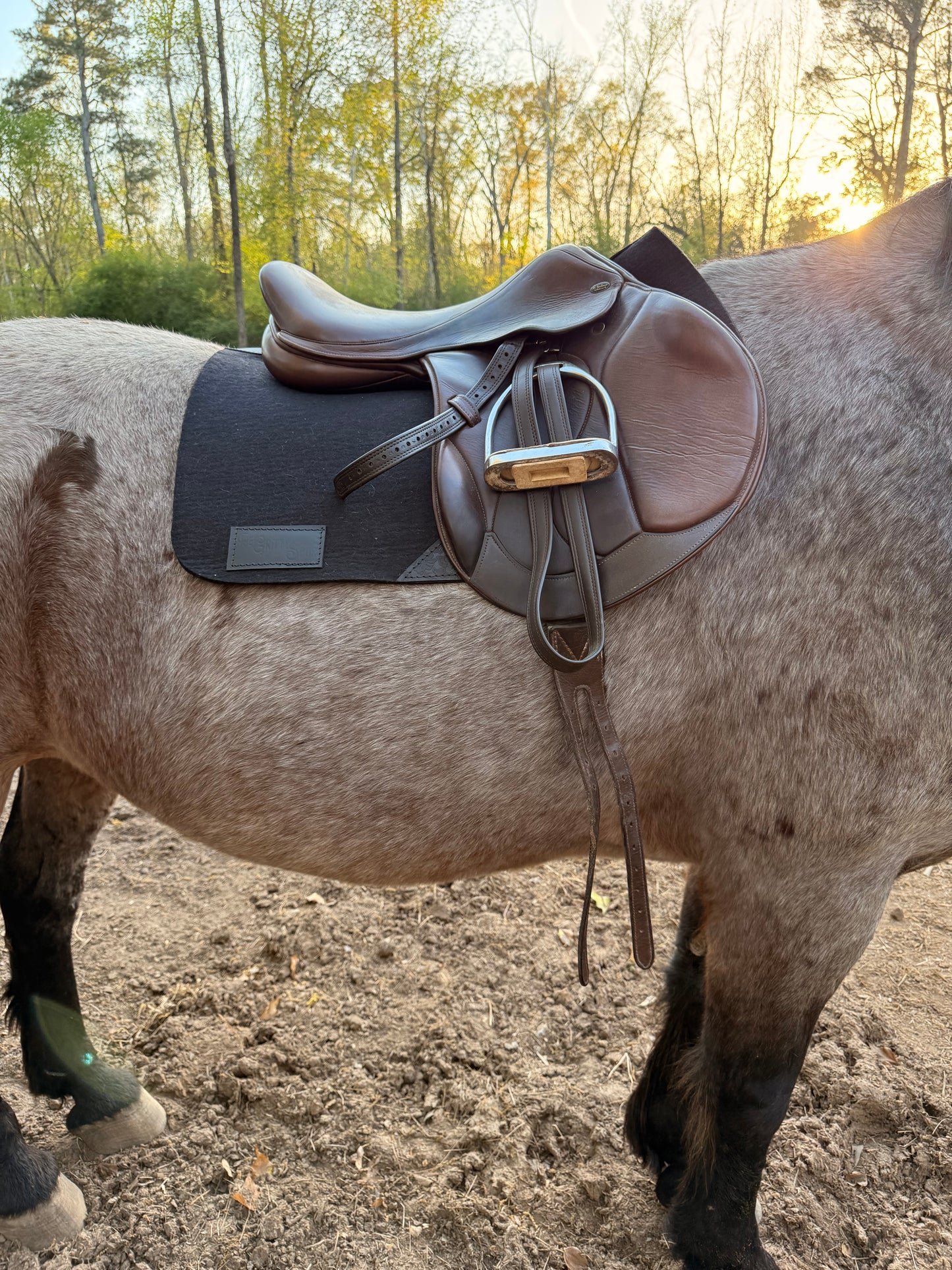 READY TO SHIP- 100% Merino Wool English pads