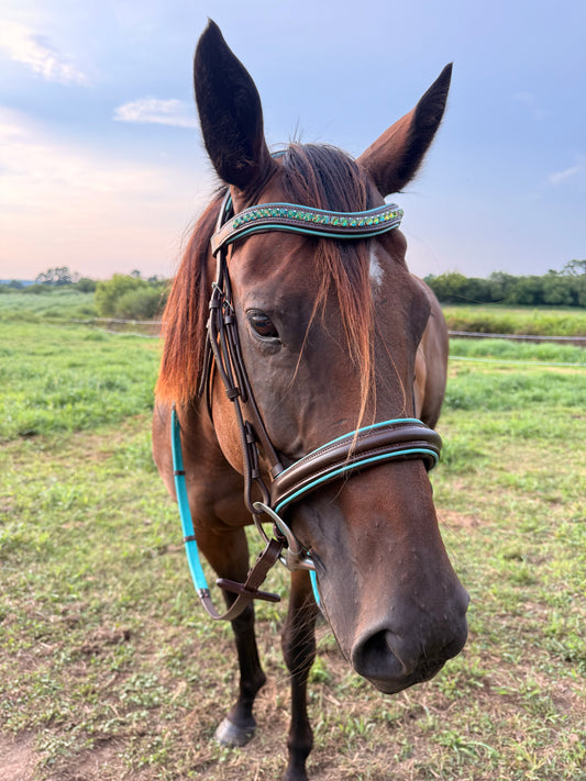 READY TO SHIP- Teal English bridle with reins black or brown