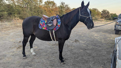 READY TO SHIP- English All Purpose Saddle Pads
