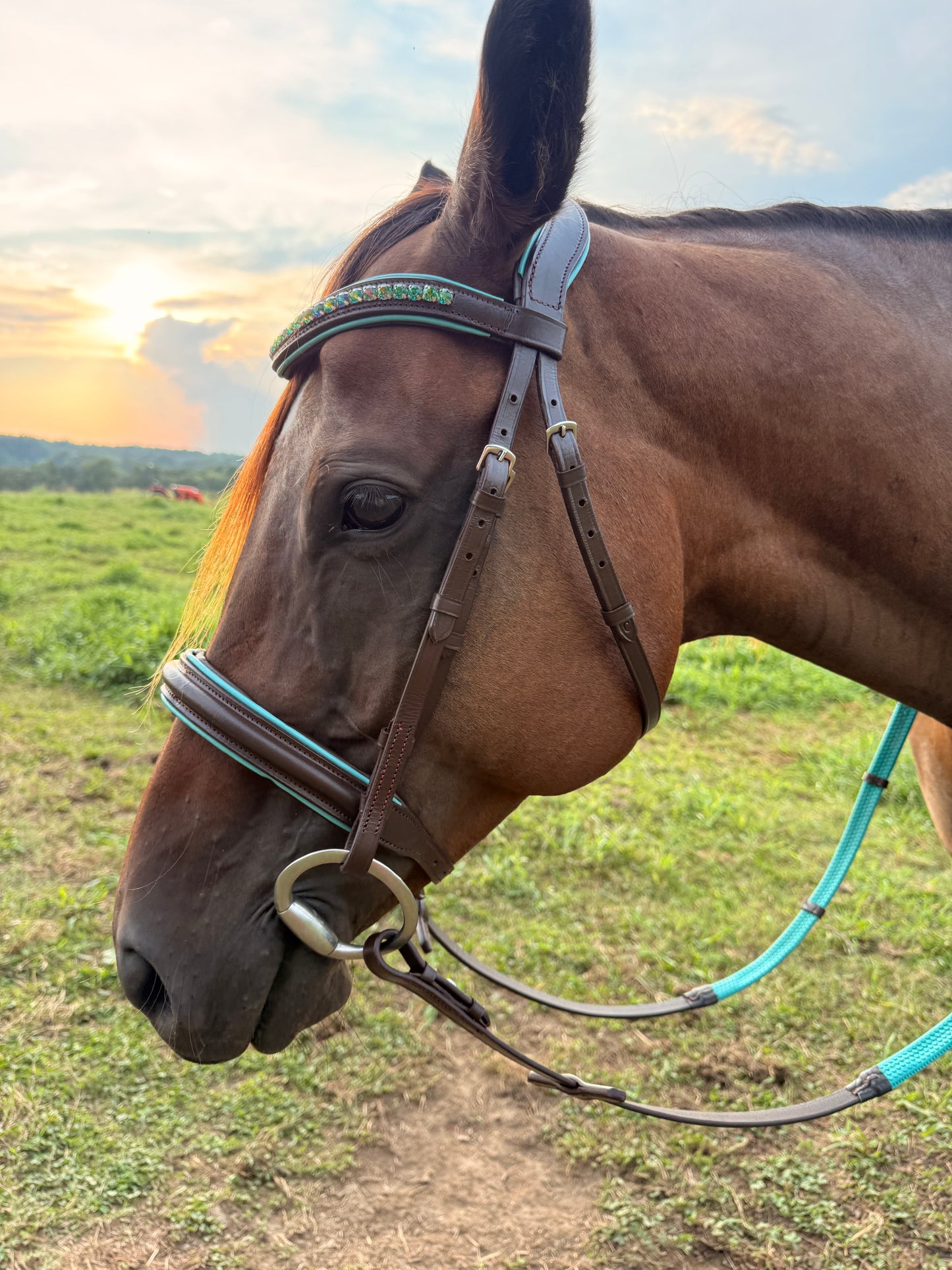 READY TO SHIP- Teal English bridle with reins black or brown