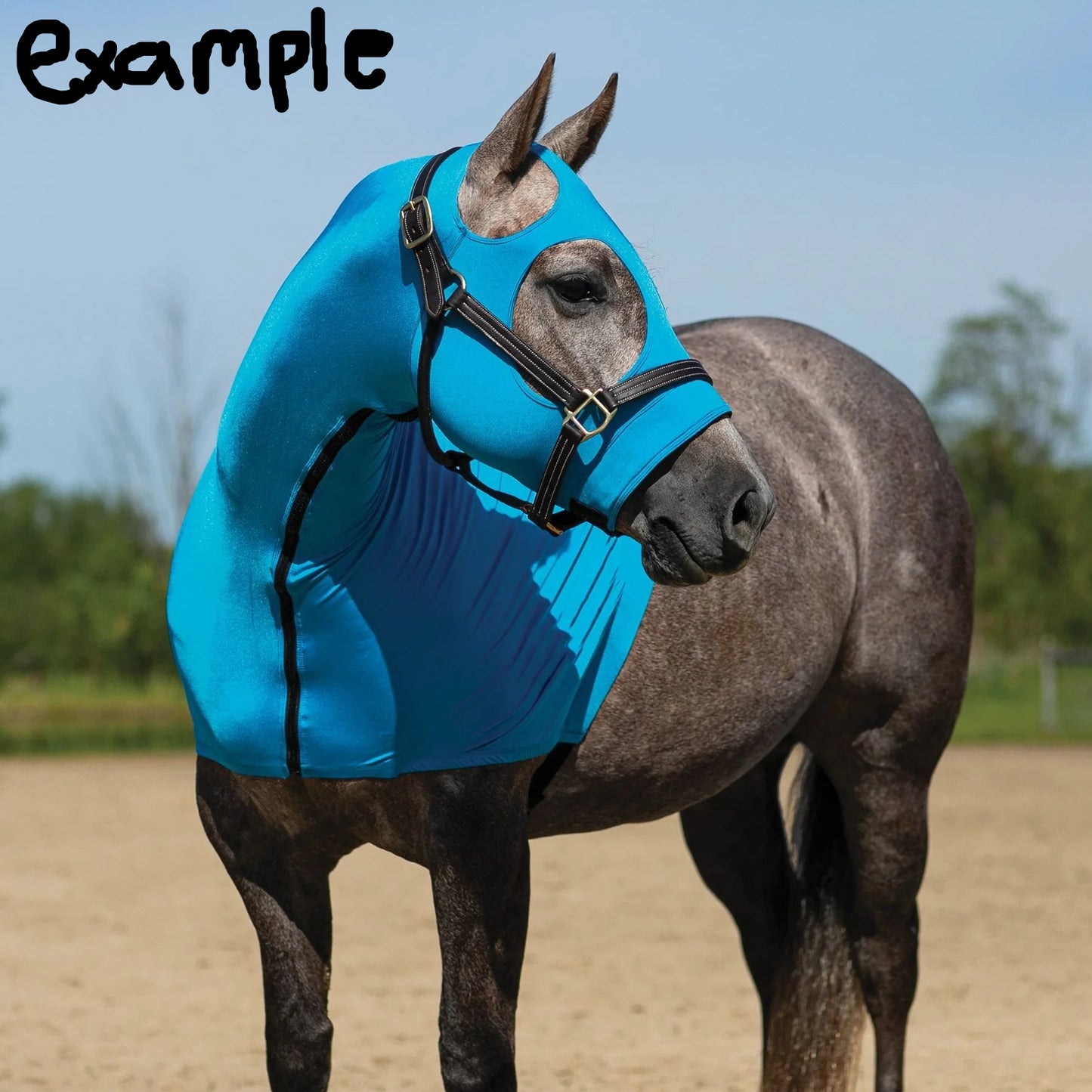 PRE ORDER- Lycra Slinky Hood