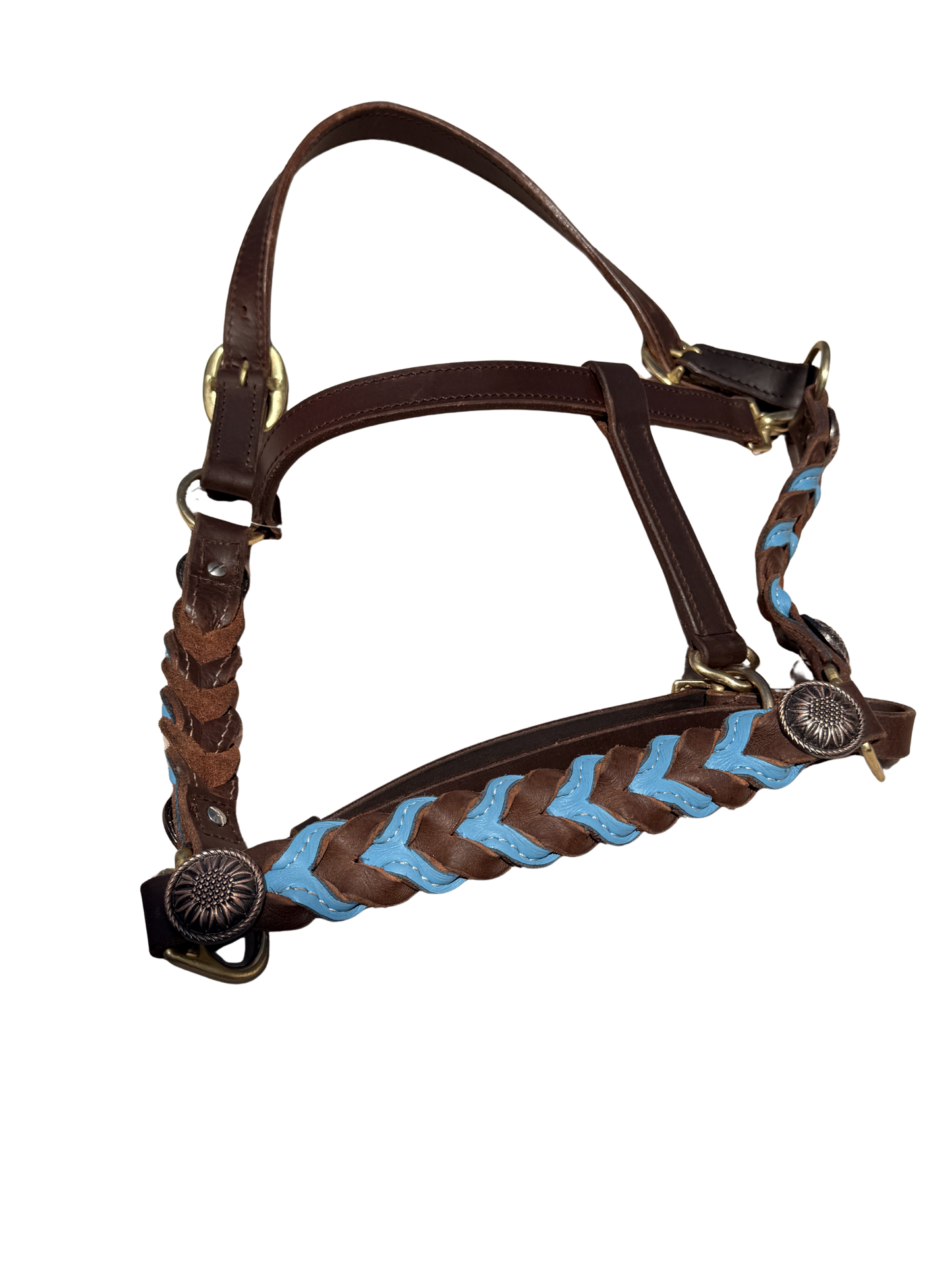 Braided oiled harness leather halters