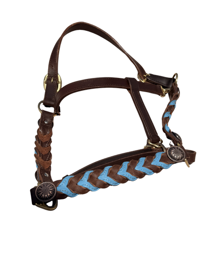 Braided oiled harness leather halters