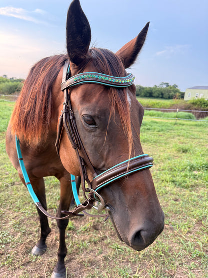 READY TO SHIP- Teal English bridle with reins black or brown