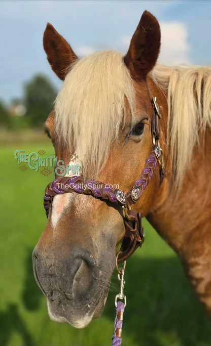 Braided oiled harness leather halters