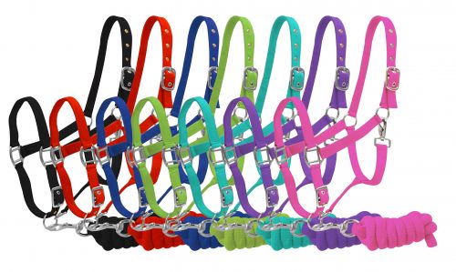 READY TO SHIP- Full Size adjustable nylon halter with 7ft lead