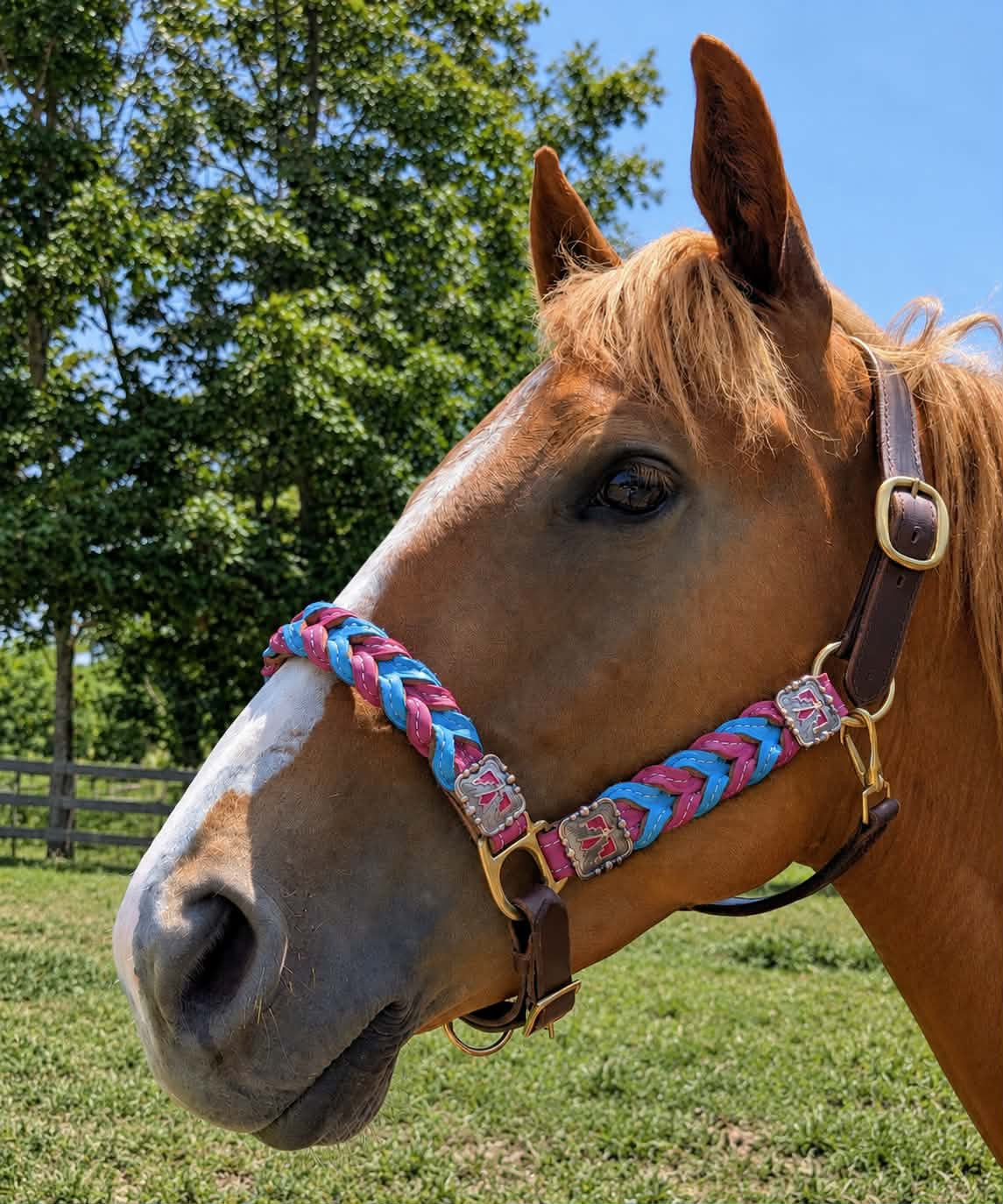 Braided oiled harness leather halters