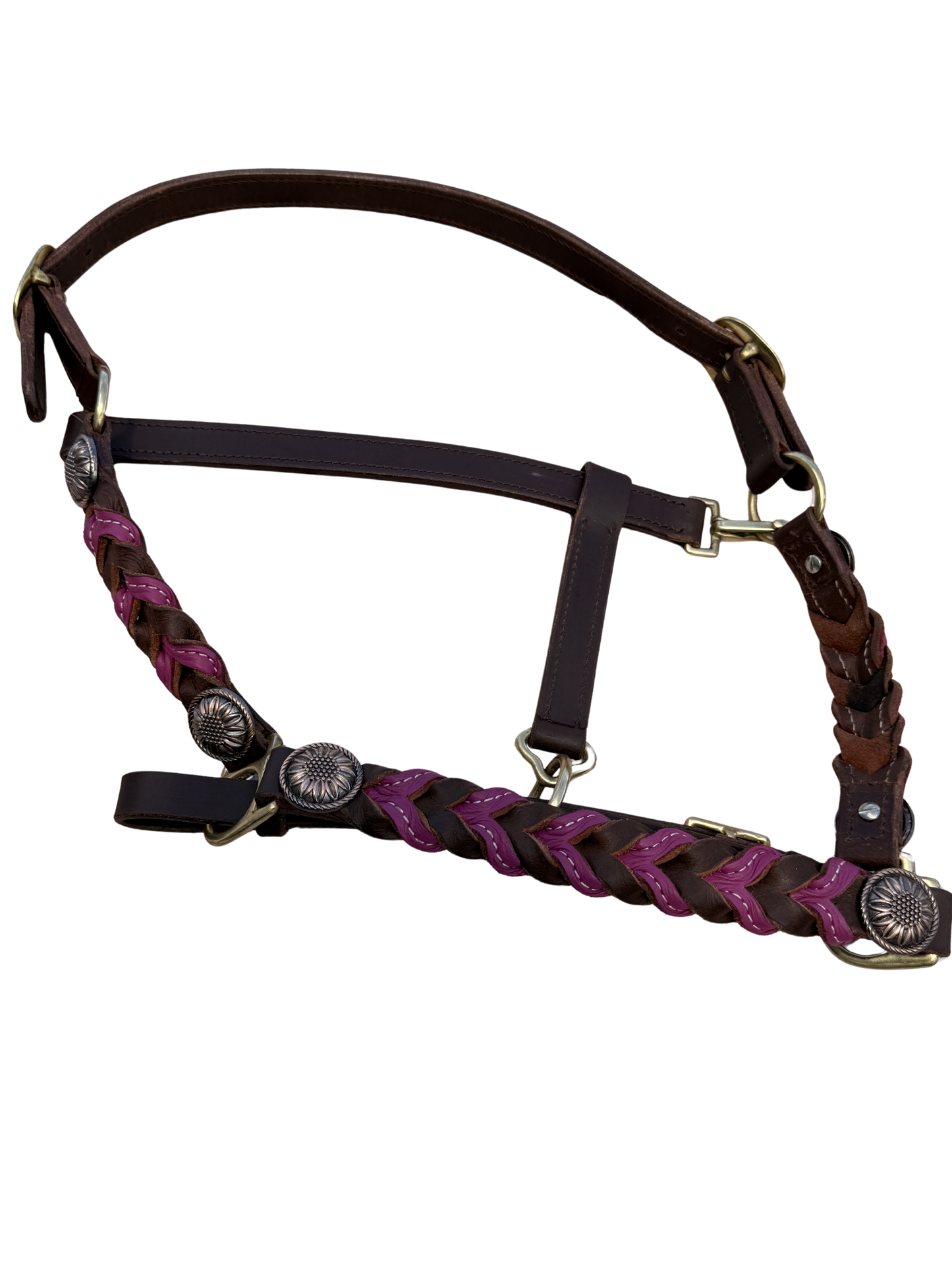 Braided oiled harness leather halters