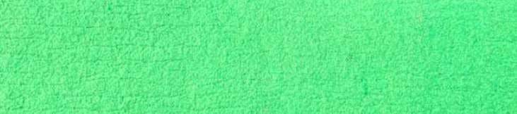 PRE ORDER- Minty 100% Wool Saddle Pad (choose details inside)