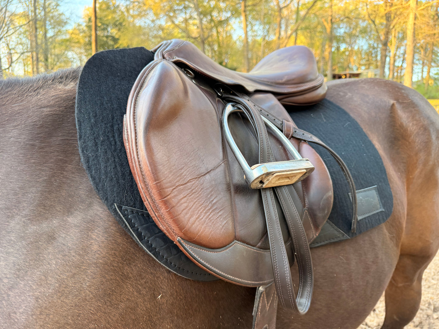 READY TO SHIP- 100% Merino Wool English pads