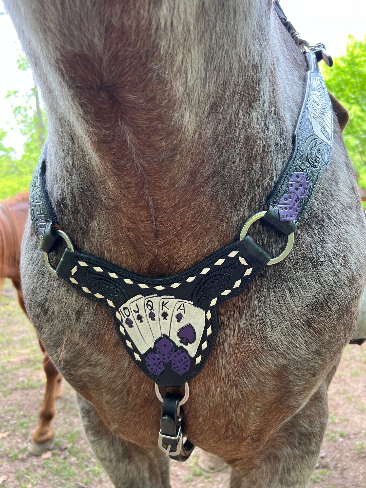 Purple card gambler / poker tack set with Bronc halter and wither strap