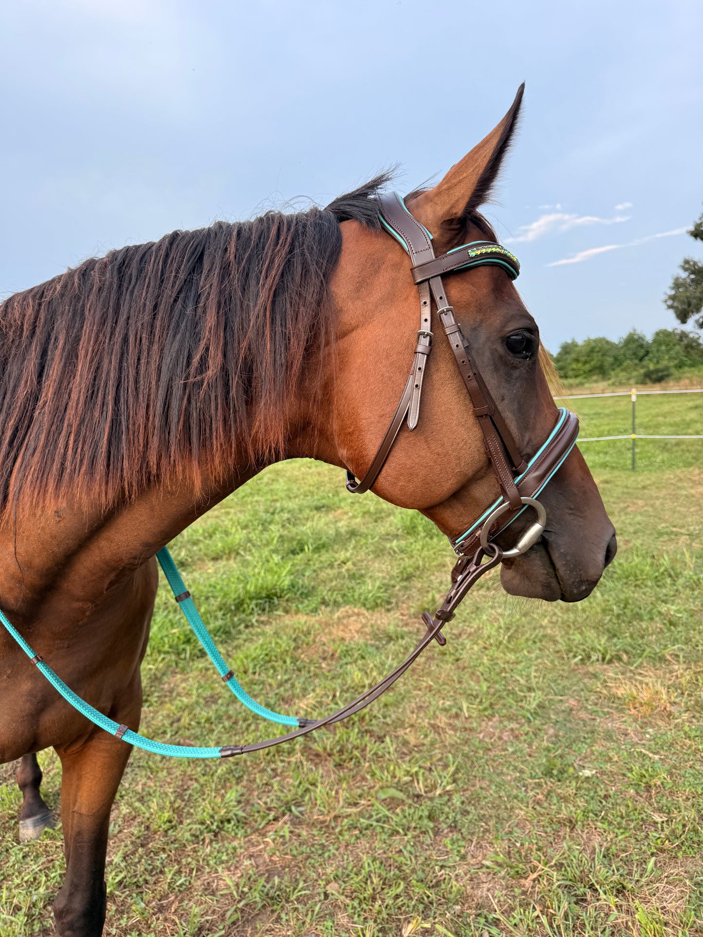 READY TO SHIP- Teal English bridle with reins black or brown