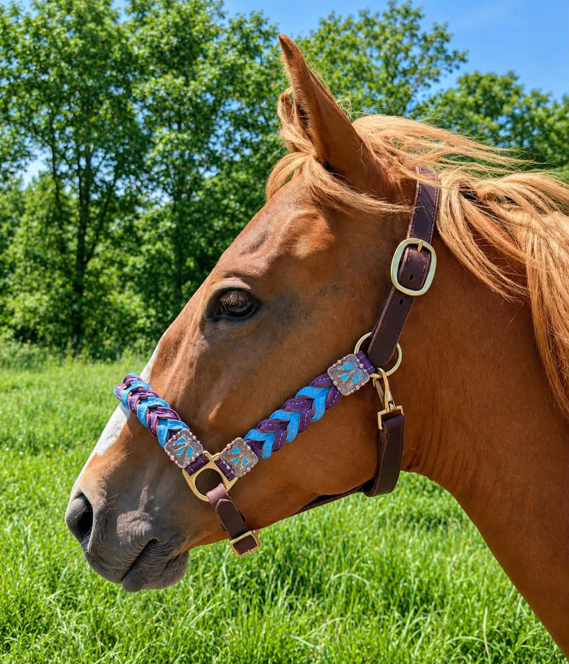 Braided oiled harness leather halters