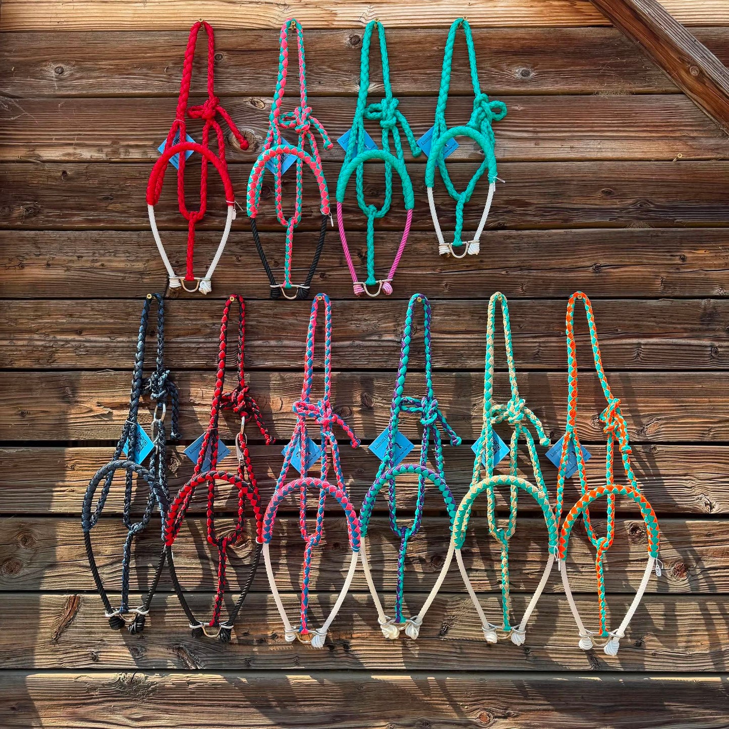 Lariat nose mule tape halters