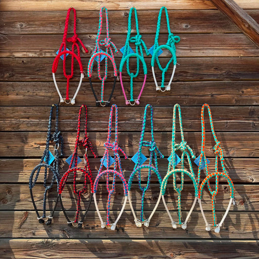 Lariat nose mule tape halters