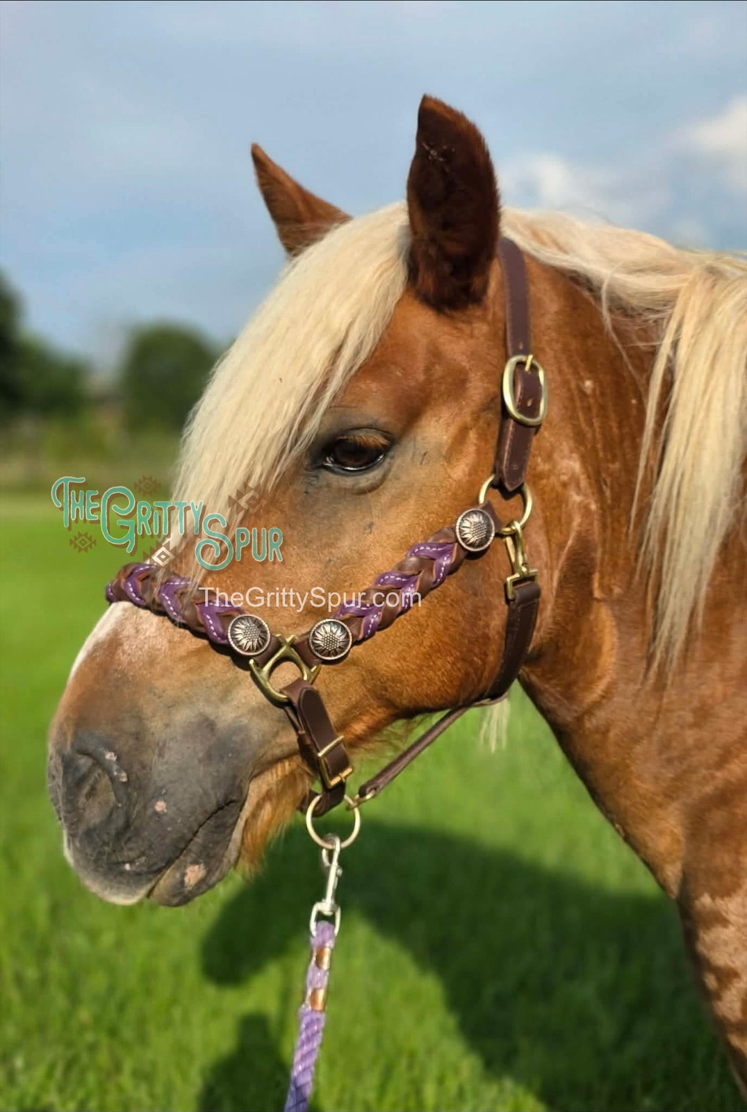 Braided oiled harness leather halters