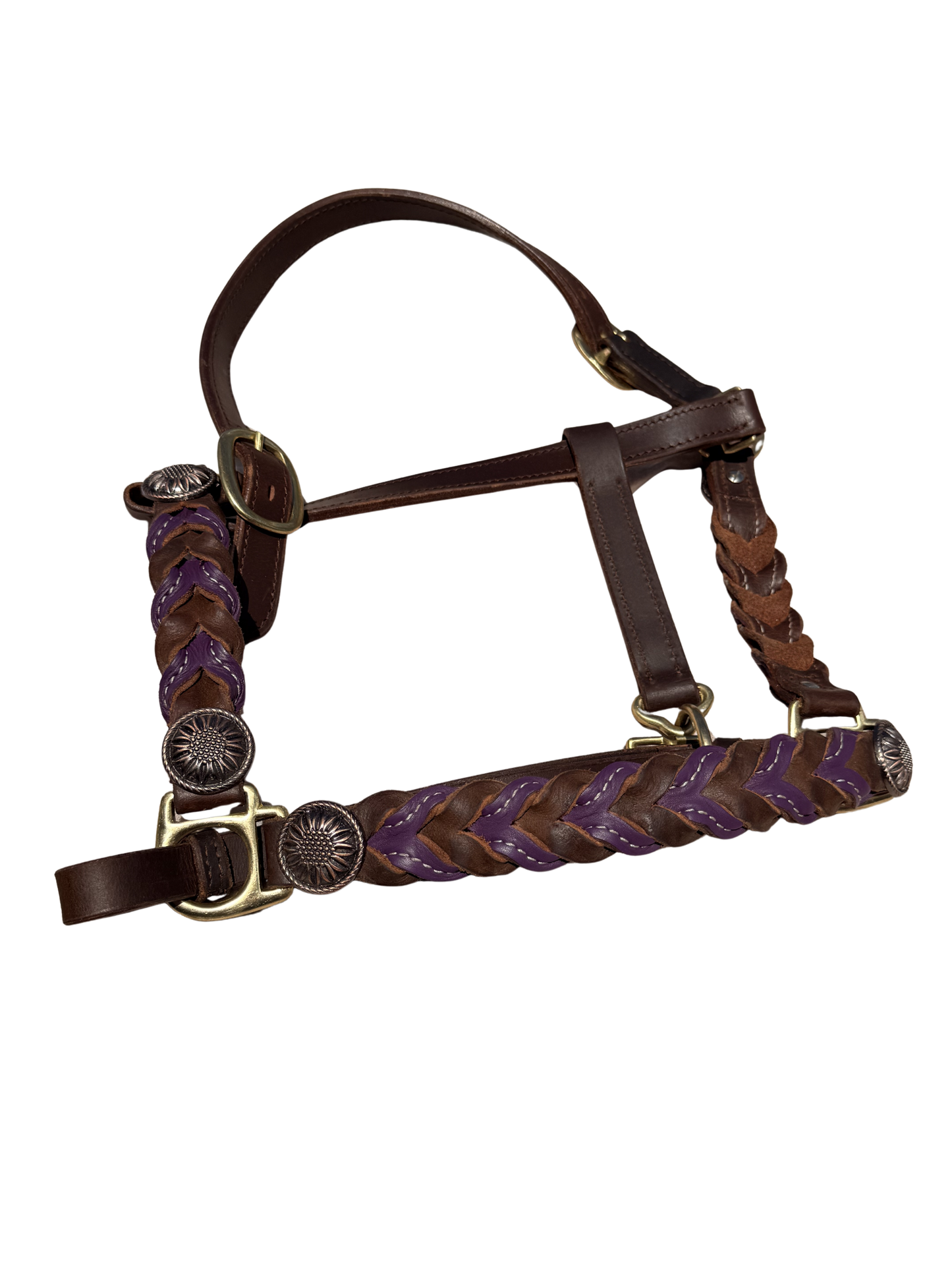 Braided oiled harness leather halters