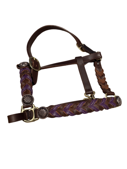 Braided oiled harness leather halters