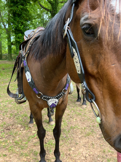 Purple card gambler / poker tack set with Bronc halter and wither strap