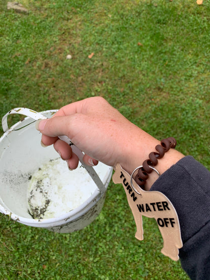 Turn off the water / close the gate reminder bracelet