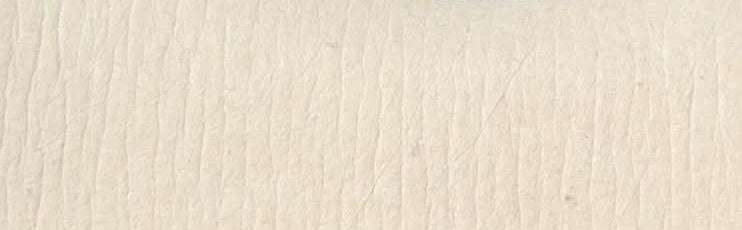 PRE ORDER-Cream 100% Wool Saddle Pad (choose details inside)