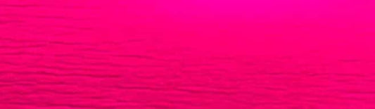 PRE ORDER- Hot Pink 100% Wool Saddle Pad (choose details inside)